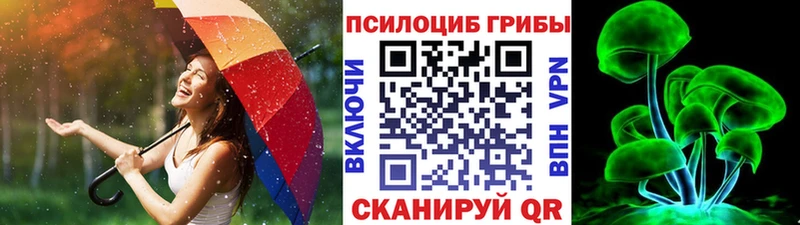 наркотики  Мариинск  Псилоцибиновые грибы Psilocybe 