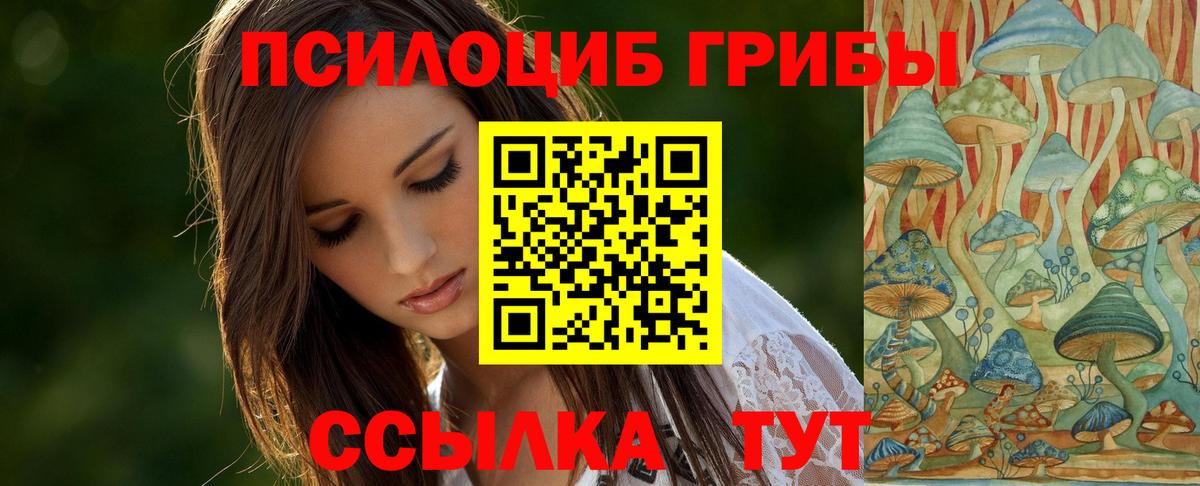 Псилоцибиновые грибы Cubensis Мариинск